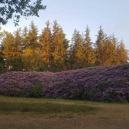 ! Дом отдыха Гардерен