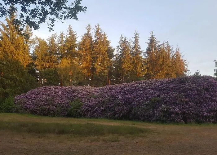 ! Vakantiehuis Garderen